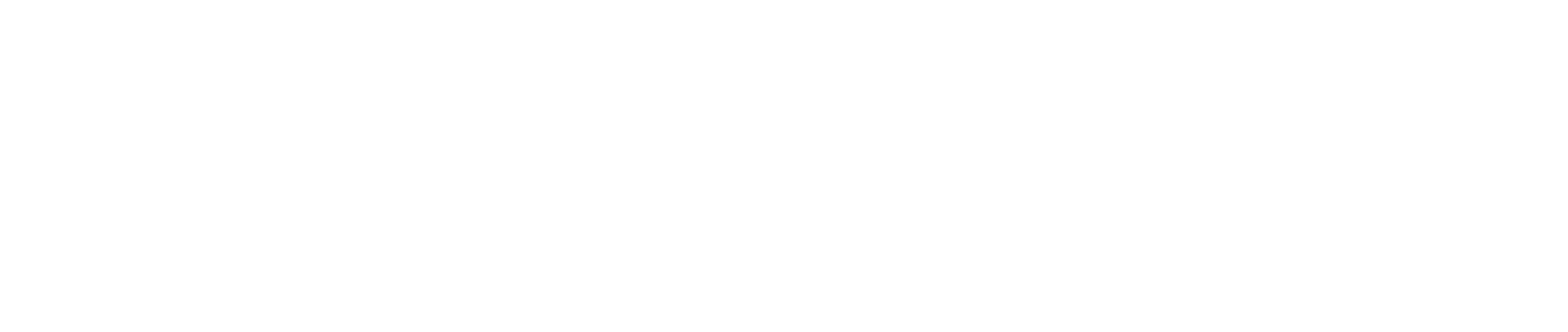 Lufthansa Industry Solutions